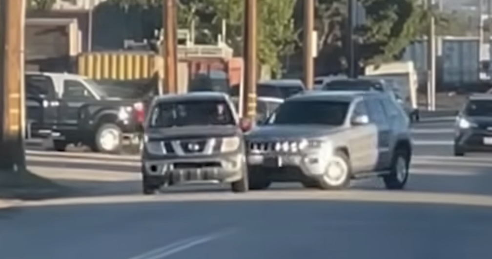 The Government Unconstitutionally Labels ICE Observers as Domestic Terrorists